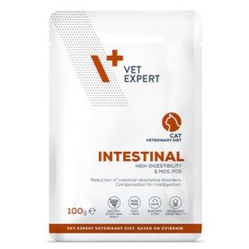 4T-VET.DIET-CAT-INTESTINAL-100G-